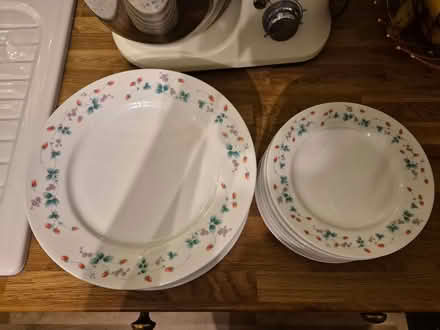 Photo of free Dinner plates & side plates (Annscroft) #1