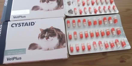 Photo of free Cystaid for cats who have cystitis (IP5) #1