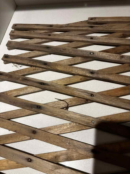 Photo of free Wooden expandable trellis (Lavender Hill SW11) #3