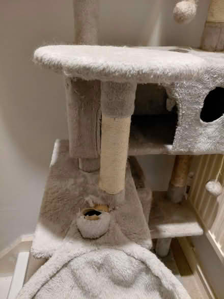 Photo of free Cat tower (RG213AD) #4
