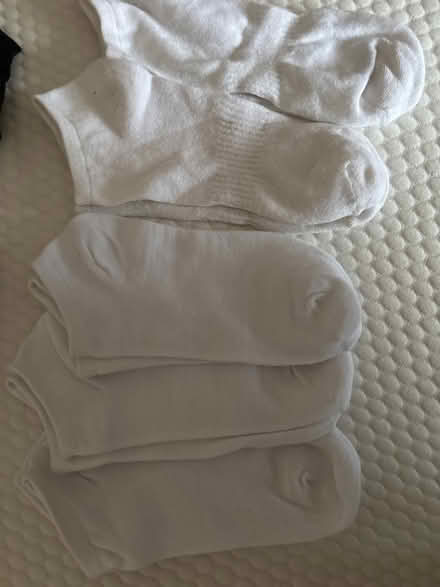 Photo of free Trainer Socks (Derby DE23) #1