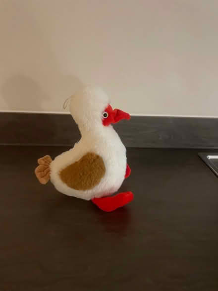 Photo of free Soft Toy (Appleton) #2