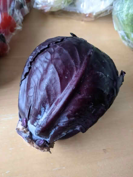 Photo of free Small red cabbage (Erdington B24) #1