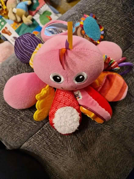 Photo of free Baby toys (Wildridings RG12) #3