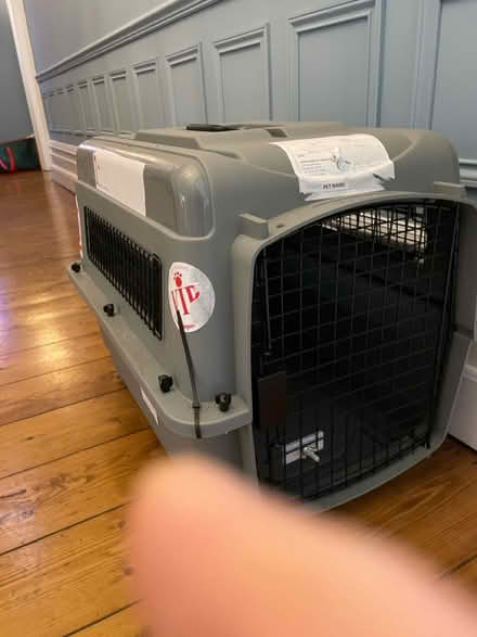 Photo of free Large pet basket (Birkdale PR8) #1