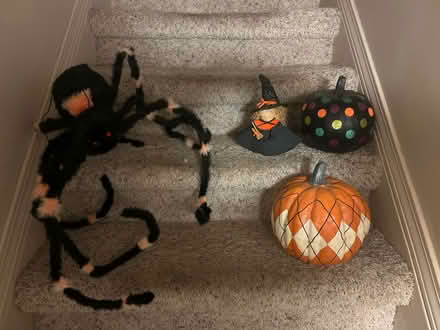 Photo of free Halloween decorations #2 (Royal Oak, MI) #1