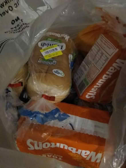 Photo of free Lots sandwiches l, bread & eggs (Millhouses S7) #4