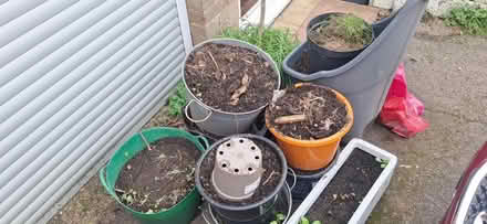 Photo of free Soil (Kingscourt, Stroud) #2