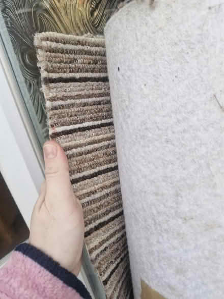 Photo of free 2 rolls of carpet (Hanworth RG12) #1