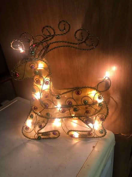 Photo of free Xmas lights etc (Arddleen) #1