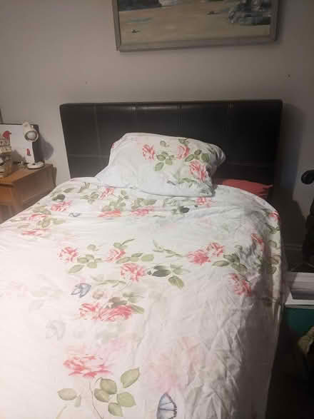 Photo of free Double bed (Tavistock) #1