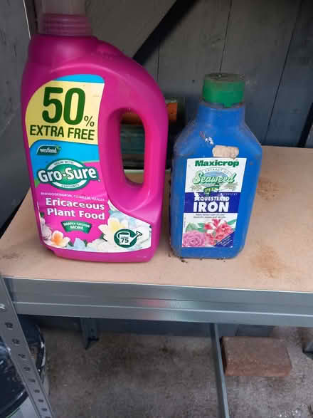 Photo of free plant food for ericaceous plants (Bare LA4) #1