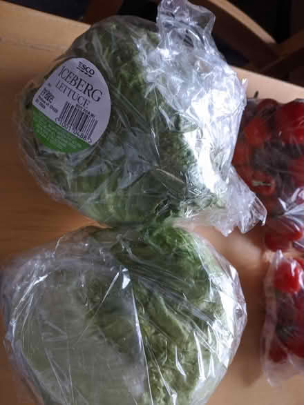Photo of free Iceberg lettuce (Erdington B24) #1