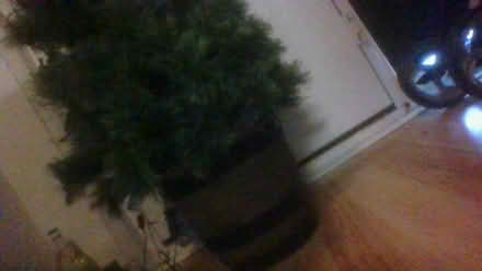 Photo of free 4 foot porch Tree Artificial (Bath BA2) #1