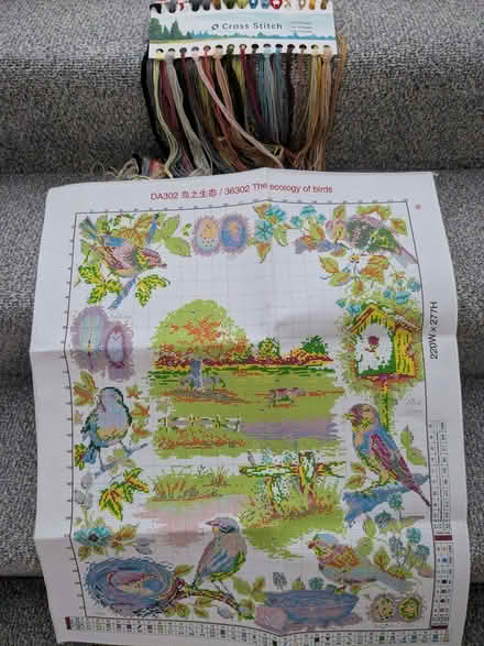 Photo of free Birds Cross Stitch (Beulah Hill SE19) #1