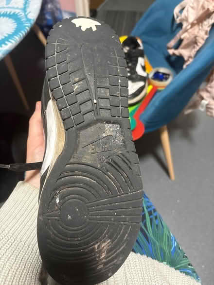 Photo of free Panda dunks (BN2) #3