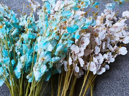 Photo of free Fake flowers (orchids) (Bellahouston G51) #3