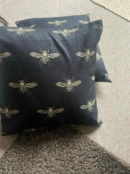 Photo of free Cushions (GL116JR cam) #1