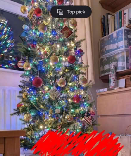 Photo of free Christmas tree (not pre-lit) (Dronfield Woodhouse S18) #1