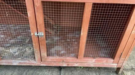 Photo of free Guinea pig/rabbit hutch (Guildford GU2 9NH) #3