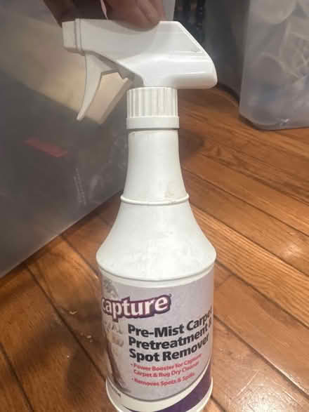 Photo of free Pre-mist carpet pretreatment (Stuyvesant Heights) #1