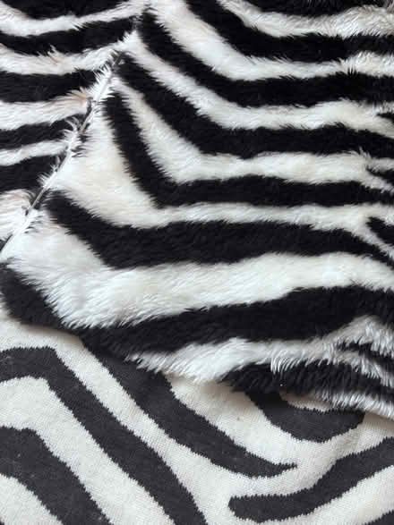Photo of free Zebra print fabric (Southdown) #2
