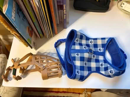 Photo of free Harness, basket muzzle (Cambridge Ma) #1