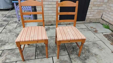 Photo of free Two Dining Chairs (Stanway CO3) #1