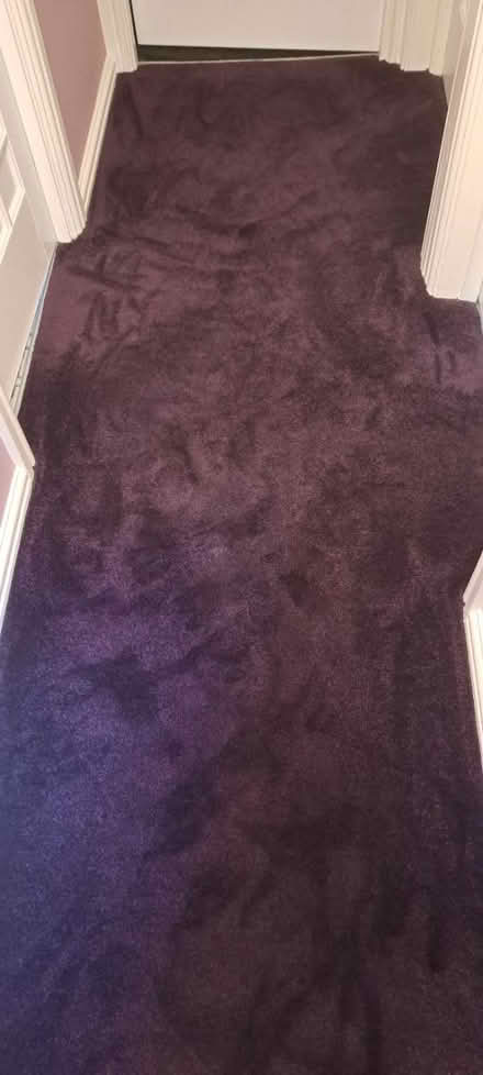 Photo of free Purple carpet (Whickham NE16) #2