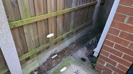 Photo of free Shower glass panel (Leeds LS15) #1