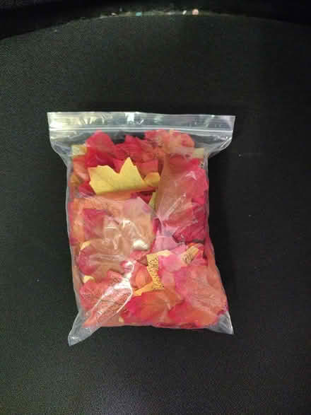 Photo of free bag of fake fall leaves (downtown novato) #1