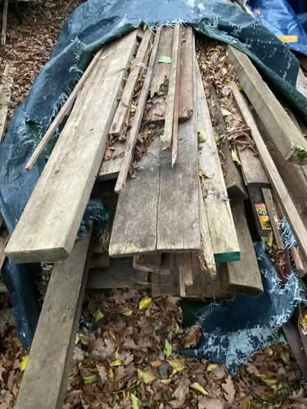 Photo of free Large planks of wood (Chineham RG24) #1