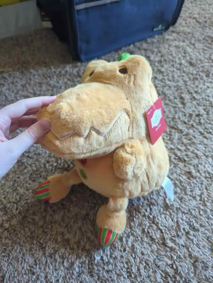 Photo of free Christmas Alligator (Arabian Library) #1