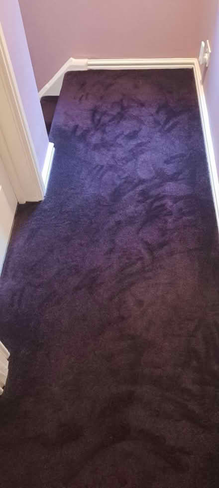 Photo of free Purple carpet (Whickham NE16) #1