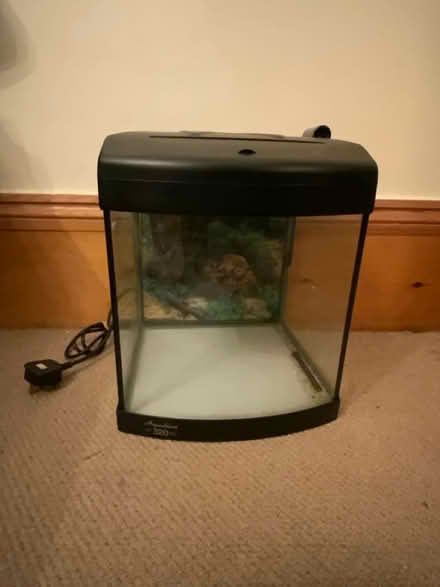 Photo of free Small Fish Tank (New Southgate, N11) #1