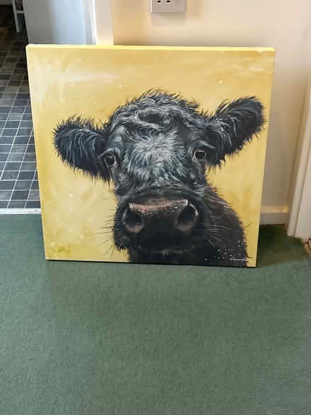 Photo of free Canvas print (SY4) #1