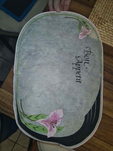 Photo of free A dozen placemats (Dalston E8) #2