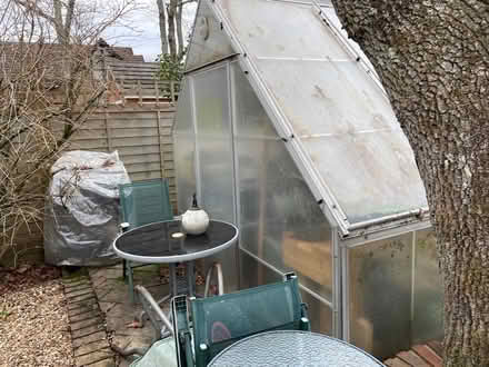 Photo of free Aluminium frame polythene greenhouse (Bashley BH25) #3