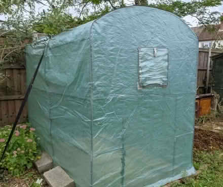 Photo of free Greenhouse with plastic cover (Maidstone town center ME15) #1