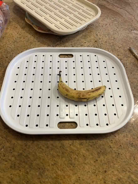 Photo of free Trays, microwave turntable (Old ottawa south) #4