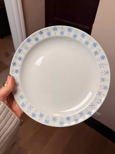 Photo of free Side plates and dinner plates (SW12) #3