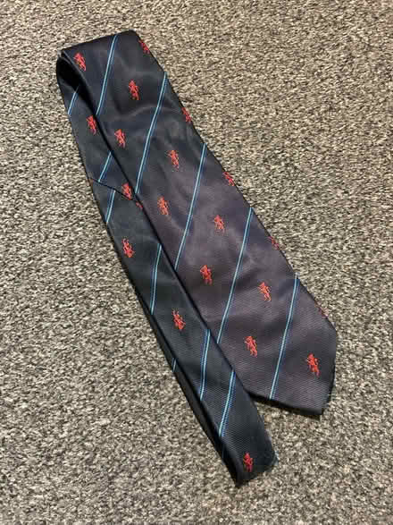 Photo of free Dallam school tie (Helsington LA8) #1