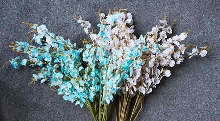 Photo of free Fake flowers (orchids) (Bellahouston G51) #2