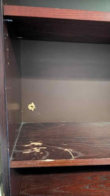 Photo of free Booshelf (Sl1) #3