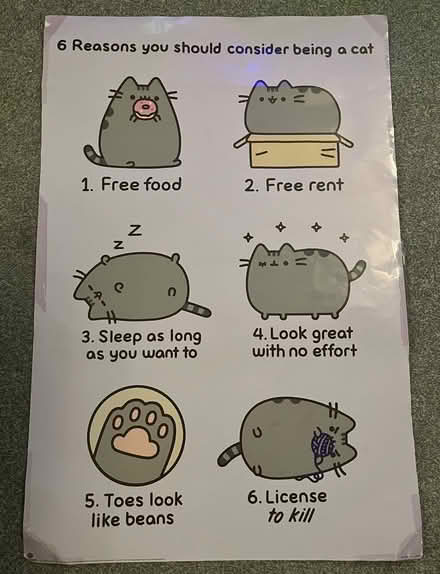 Photo of free Pusheen Poster (Great Hollands RG12) #1