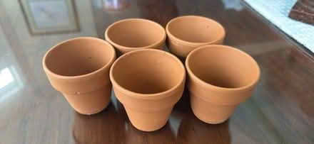 Photo of free Small flower pots (Penfield) #1
