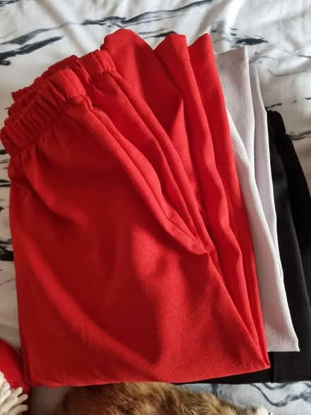 Photo of free Skorts (CT11) #3