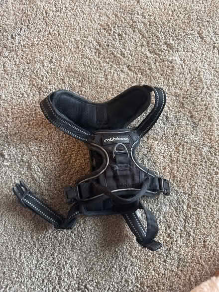Photo of free Dog Harness (Rabbitgoo) (Hackney Wick E3) #1