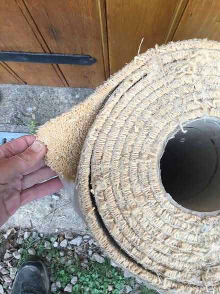 Photo of free New carpet off cut 16 x 2 ft (Malvern Link WR13) #1