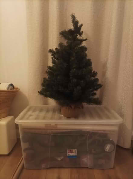 Photo of free Box of Christmas decorations and small tree (Dawlish EX7) #1